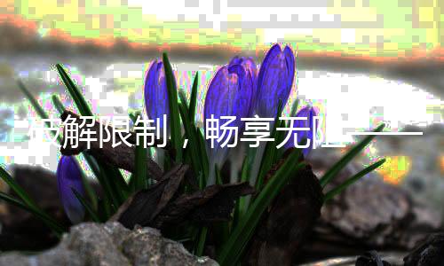 破解限制，畅享无阻——QuickQ破解版安卓完美体验